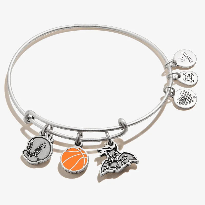 Space Jam Tweety + Sylvester Trio Charm Bangle